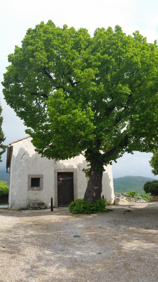 Apartmans Renata - Brseč Bagian luar foto