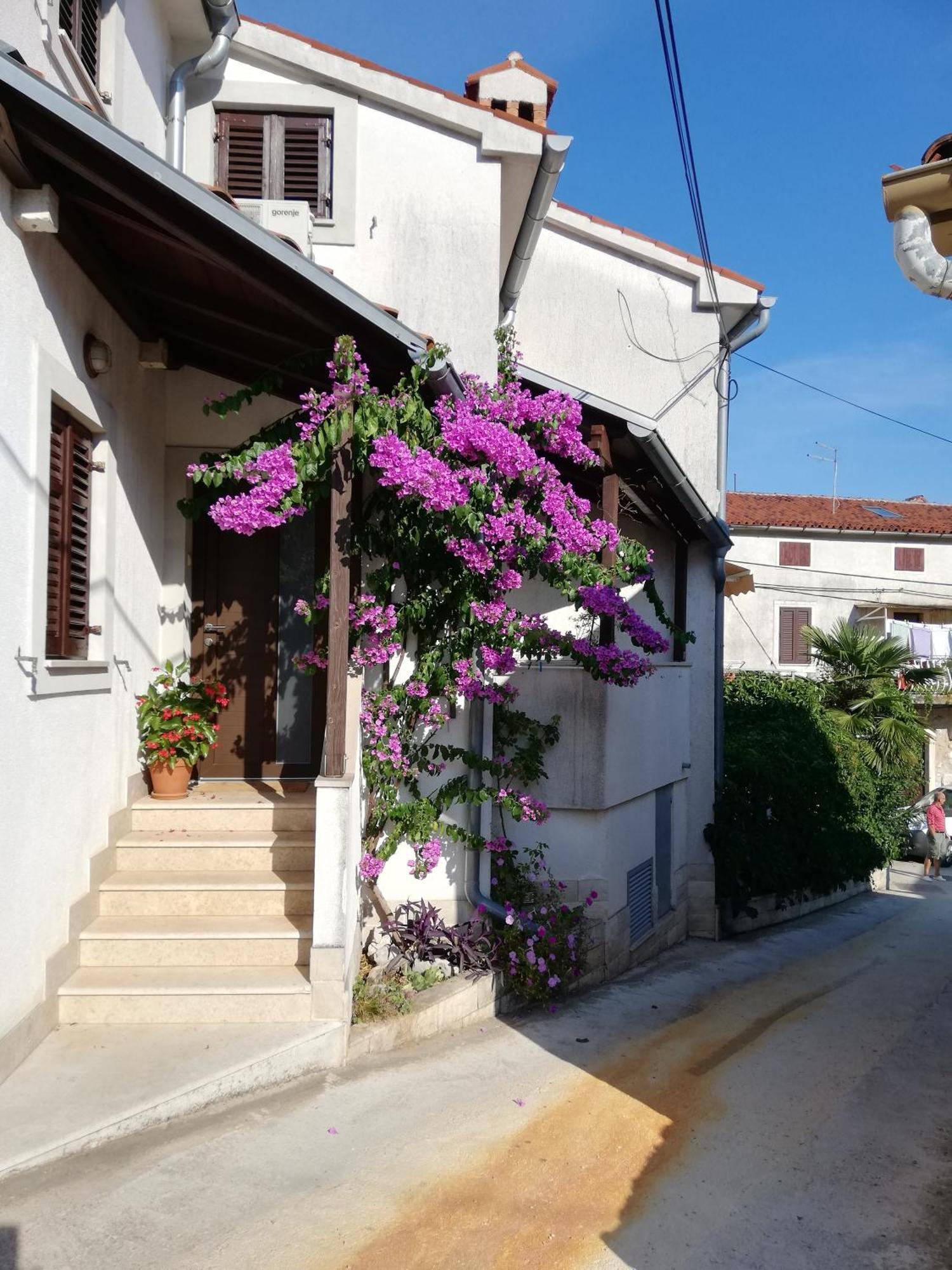 Apartmans Renata - Brseč Bagian luar foto